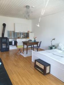 Kuchyňa alebo kuchynka v ubytovaní Ferienwohnung mit Pool an der Apfelstraße