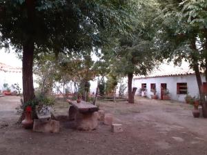 a picnic table under a tree next to a building at Hostal Casa Grande in Villazón