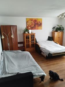 a bedroom with two beds and a cat sitting on the floor at Maciejówka House with a view in Jelenia Góra