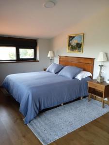 Un dormitorio con una cama grande con un edredón azul. en Casa Yañez, en Chantada