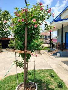 チェンライにあるหม่อนเมือง รีสอร์ทのギャラリーの写真