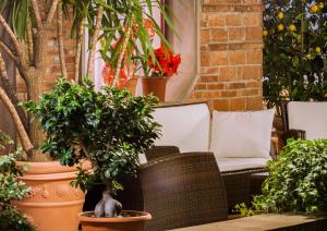 Zahrada ubytování Hotel Reale