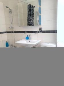een badkamer met een wastafel en een spiegel bij Cosy Studio Flat in Great Locationin London in Londen