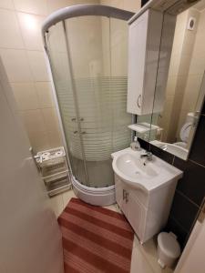 een kleine badkamer met een wastafel en een douche bij Stan na dan Prnjavor, Gajba u centru in Prnjavor