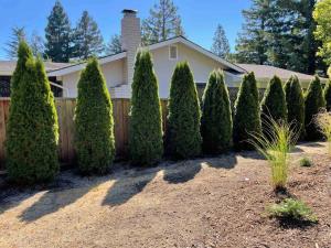 een rij mooi geknipte bomen voor een huis bij Diamond Vacation Home in Wine Country Sonoma! in Sonoma