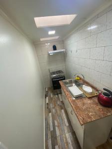 uma pequena cozinha com um balcão e um lavatório em ROTUNDO APART em Puerto Natales