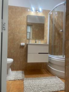 een badkamer met een wastafel, een douche en een toilet bij Casa Anita in Sighişoara