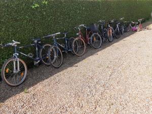 Berbasikal di atau sekitar petit gite l ecotay