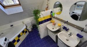 a bathroom with a tub and a sink and a mirror at Apartmán Husovka Bruntál - pokoj POLLY in Bruntál