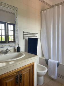 un bagno con lavandino, WC e specchio di Casa da Pedrada a Ponte da Barca