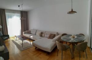 Afbeelding uit fotogalerij van Apartments Radovic in Podgorica