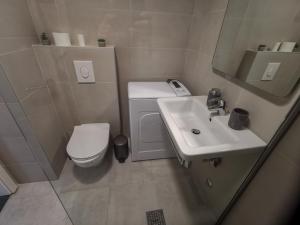 Afbeelding uit fotogalerij van Apartments Radovic in Podgorica +19 foto's