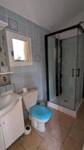 Ardres的住宿－Au Retour du Lac，一间带卫生间和玻璃淋浴间的浴室