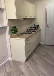 Una cocina con gabinetes blancos y una planta en maceta. en Apartament Morski MALOVES, en Władysławowo 4 fotos más