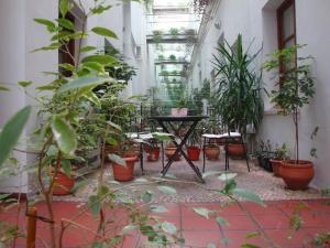 Zahrada ubytování Hostal Puerta Carmona