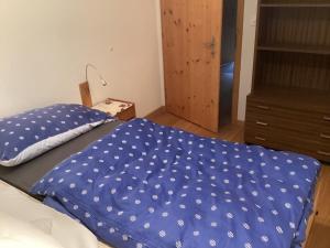 Fotografie z fotogalerie ubytování 4 1/2 Zi Whg in Saas GR v destinaci Saas