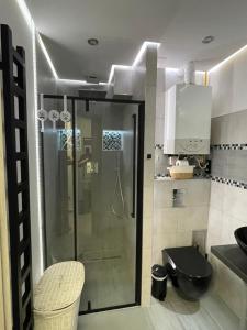 een badkamer met een douche, een toilet en een wastafel bij Apartament 20 in Radków