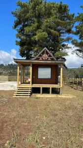 um pequeno edifício num campo com uma árvore em Tiny house - Playa em Arauco