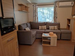 ein Wohnzimmer mit einem Sofa, einem TV und einem Tisch in der Unterkunft Mobil-home climatisé 6 pers en Ardèche in Orgnac-lʼAven