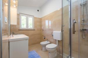 La salle de bains est pourvue de toilettes, d'un lavabo et d'une douche. dans l'établissement Apartman Ana, à Labin
