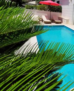 a palm tree in front of a swimming pool at Villasanta De Luxe Apartments with Pool in Marusici 