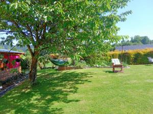 a green yard with a tree and a chair at POD RÓŻĄ in Kasina Wielka