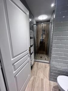 a bathroom with a shower and a toilet and a door at La Bulle Dorée in Épernay