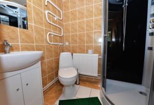a bathroom with a toilet and a sink and a shower at Vila Valdonė in Palanga +18 photos