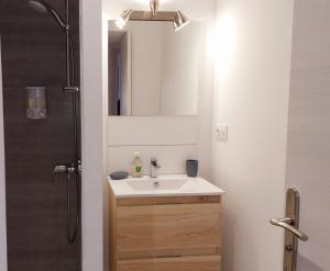 a bathroom with a sink and a shower with a mirror at DUPLEX COCOON - 10 MIN DE BLAYE - 20 MIN CNPE - WiFi - TV HD in Saint-Seurin-de-Cursac