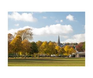 un parque con árboles y una iglesia al fondo en Cosy & quirky cottage in the heart of Bakewell., en Bakewell