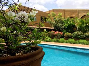 בריכת השחייה שנמצאת ב-Orchidelirium Casa Hotel & Salud Estética או באזור