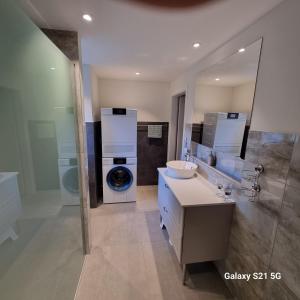 a bathroom with a sink and a washing machine at Mountain-Lake Apartment 2 in Wilderswil