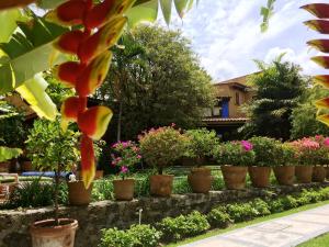 uma fila de vasos de plantas num jardim em Orchidelirium Casa Hotel & Salud Estética em Cuernavaca