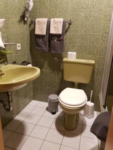 a bathroom with a toilet and a sink at Gästehaus Vinum in Leiwen +1 photo