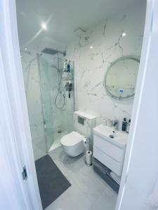 a bathroom with a shower and a toilet and a sink at Guesthouse in Central Fleet in Fleet