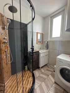 a bathroom with a shower and a sink and a washing machine at Bienvenu à l’appart bien-être in Souvigny