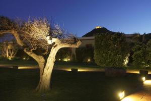 Κήπος έξω από το I Pretti Resort