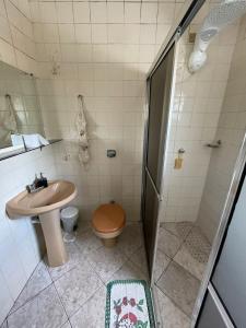 a bathroom with a shower and a toilet and a sink at Hospedaria Chaves in Brasília