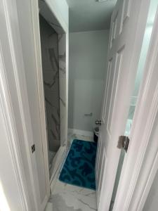 ein Badezimmer mit einem blauen Teppich auf dem Boden in der Unterkunft Mo's Place in Mississauga