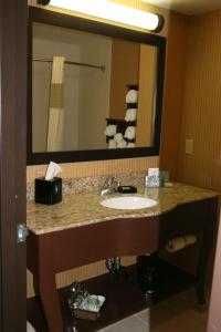 Hampton Inn and Suites Peru في Peru: حمام مع حوض ومرآة كبيرة