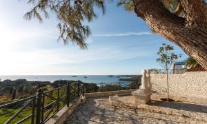 a stairway with a tree and a view of the ocean at Apartment Davorka in Vrsar