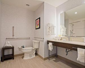 Hampton Inn & Suites Lubbock University, Tx的一间浴室