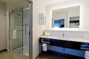拉伯克Hampton Inn & Suites Lubbock University, Tx的带水槽和淋浴的浴室
