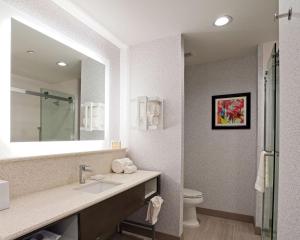 Hampton Inn & Suites Lubbock University, Tx的一间浴室