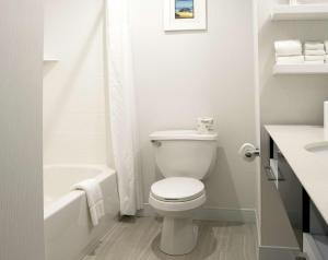 a white bathroom with a toilet and a bath tub at Hampton Inn Hartwell Ga in Hartwell