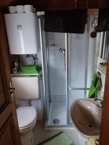 a bathroom with a shower and a toilet and a sink at Ferienhaus Mentil in Greifenburg