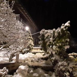 un patio cubierto de nieve con árboles y luz de la calle en Chalet de Creytoral en Arâches-la-Frasse