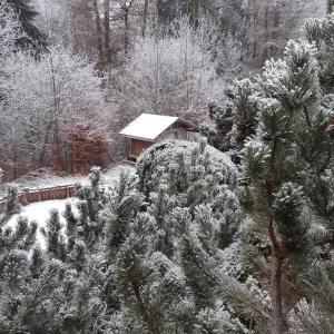 un bosque cubierto de nieve con una casa en el fondo en Chalet de Creytoral en Arâches-la-Frasse