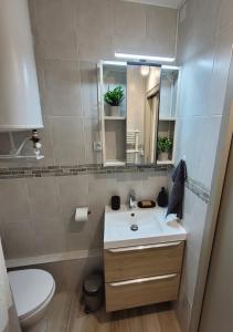 a bathroom with a sink and a toilet and a mirror at Les Appartements De Lina By LG Immo - Self Check-In - in La Grande-Motte