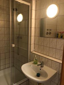 ein Bad mit einem Waschbecken und einer Dusche mit einem Spiegel in der Unterkunft Apartment für Monteure in Leipzig